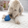 Picture of JW Twist-In Treats Dog Chew Toy, Treat Included